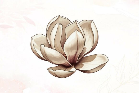A Designer's Review: The Magnolia Watercolor Graphic