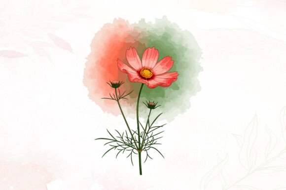A Designer’s Review of Watercolor Pink Cosmos Flower Art