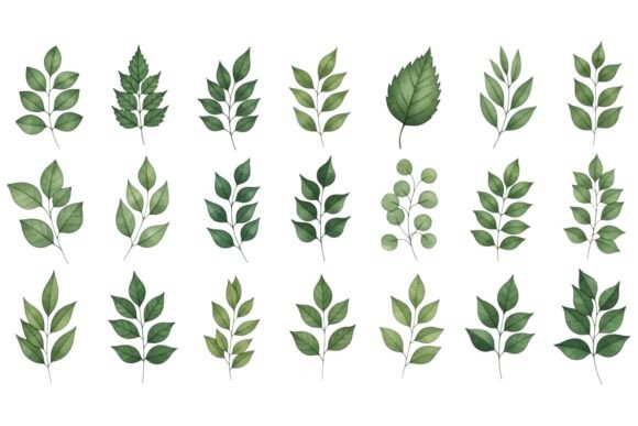 A Practical Review of the Watercolor Leaves Graphics Collection