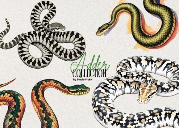 Brand Designer Review: Adder Snake Watercolor Graphics for Local Business