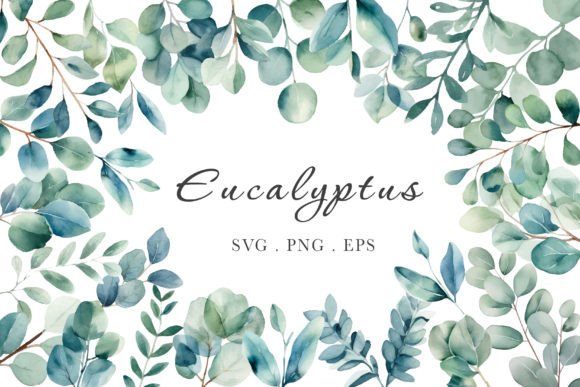 Eucalyptus Watercolor Graphics for Branding & Marketing